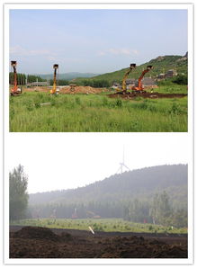 中国 碾子山区政府网