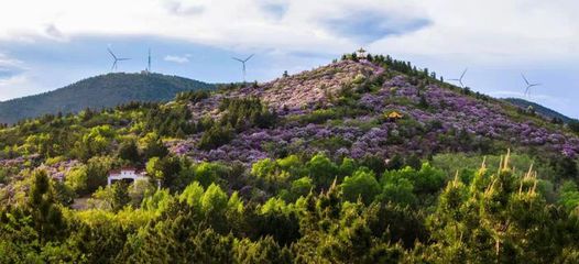 齐齐哈尔碾子山区:全域旅游谱华章 乘风破浪再出发